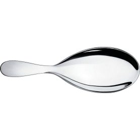rice spoon