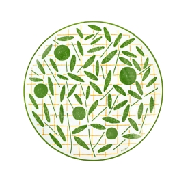 piatto frutta cm 21 green