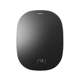 Digital kitchen scale black