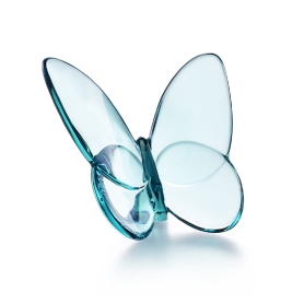Butterfly turquoise