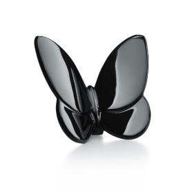 Butterfly black