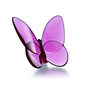 Peony butterfly