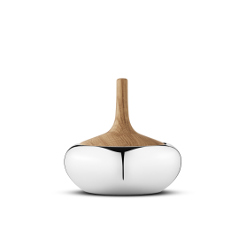 scatola onion