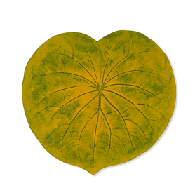 placemat green and yellow leaf
