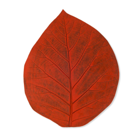 placemat rust orange leaf