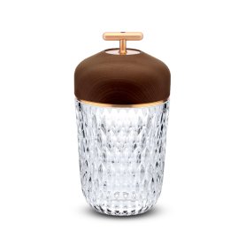 Clear wood portable lamp