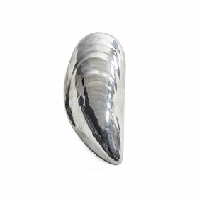 Marcel bottle opener