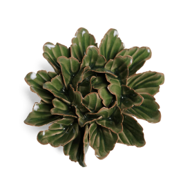 Peonia in porcellana avocado green JA26