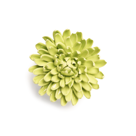 Pompom in porcellana verde EG43