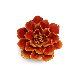 Coreopsisis Arancione FR31