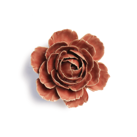 Rosa inglese rosa-champagne FR39