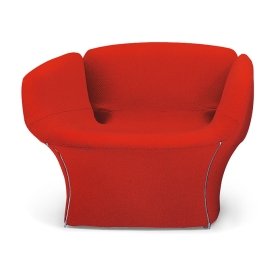 Moroso